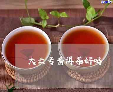 太号普洱茶怎么样