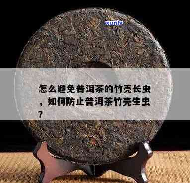 新普洱茶中的笋壳长虫问题解析及解决 *** 