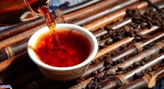 普洱茶：探索喝茶人的极品味与文化体验