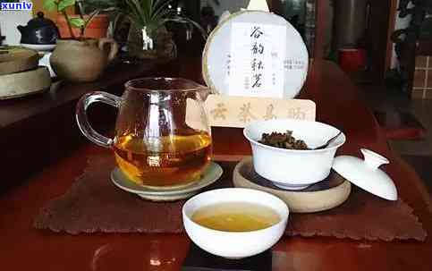 一斤普洱茶需要多少斤茶青：探讨 *** 过程及成本