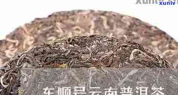 车镝号普洱茶怎么样