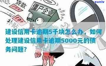 我建行信用卡逾期7个月金额5000,应该怎么处理？