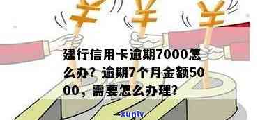 我建行信用卡逾期7个月金额5000,应该怎么处理？