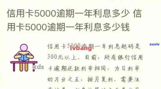 我建行信用卡逾期7个月金额5000,应该怎么处理？