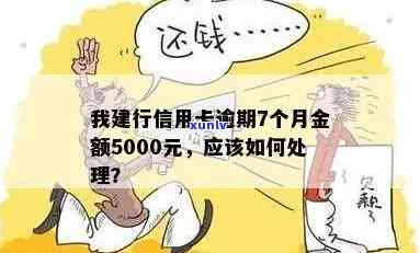 我建行信用卡逾期7个月金额5000,应该怎么处理？