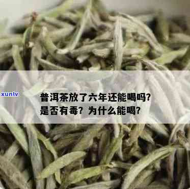 6年的普洱茶能喝吗