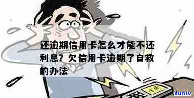 欠信用卡逾期了自救的办法：无法偿还40万债务如何解决？