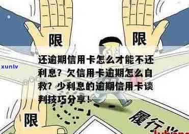 信用卡欠款协商：是否可以逐步偿还，避免逾期罚款？