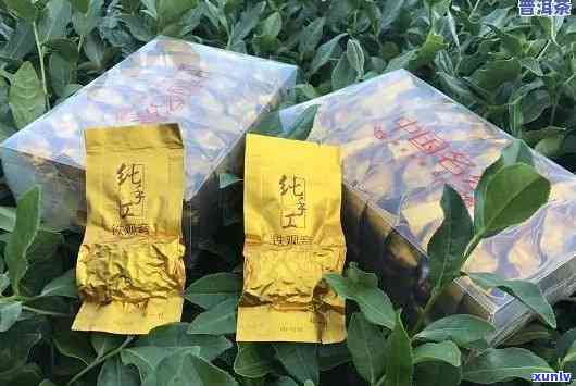 国香一号茶怎么样：2020新茶，红茶礼盒价格，口感好喝吗？多少钱一斤？