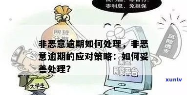 全面解析恶意逾期：如何识别、应对与避免？