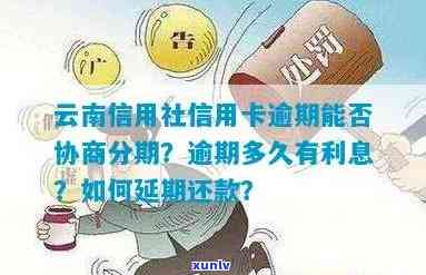 云南信用卡逾期费用