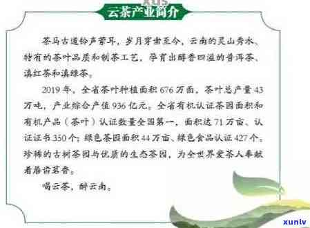 探寻云南普洱茶十大名牌：品味越品质，了解下关知名与福海茶叶企业