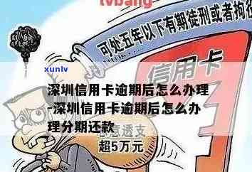 深圳信用卡逾期免费咨询