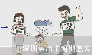 深圳信用卡逾期免费咨询