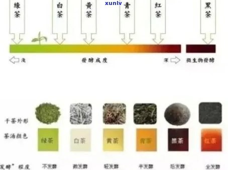 重庆中信信用卡逾期案件审理进展：法庭通知开庭日期与地点