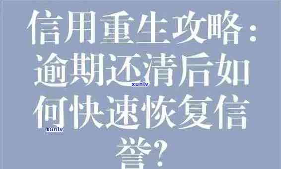 贷款逾期后的信用恢复策略：如何摆脱困境重获良好信用