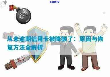 信用卡逾期后额度恢复：详细步骤与可能影响