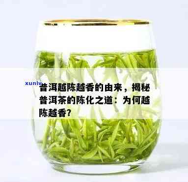 新普洱茶陈越香，究竟科学原理何在？为什么越陈越好？