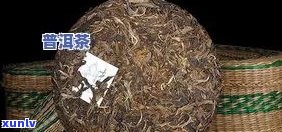 新普洱茶陈越香，究竟科学原理何在？为什么越陈越好？