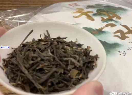 大宜千山一叶普洱茶：价格昂贵，品质越