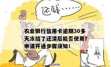 农业银行信用逾期超过30天，解冻后信用卡是否可继续使用？