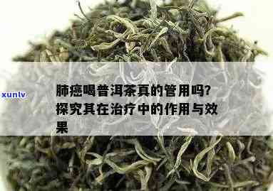 肺中瘤能喝普洱茶吗