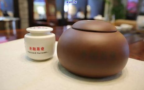 普洱茶专用水：选择泡茶的极武器