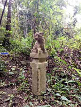 普洱茶六大古茶山之首：哪座山？名字是什么？