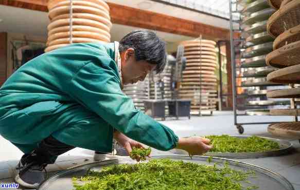 大理天宝祥有机茶业：全心全意服务茶叶市场，提供高品质有机茶。