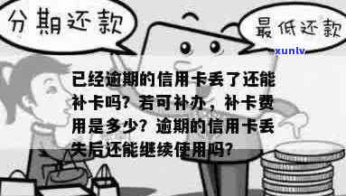 丢失已逾期信用卡，持卡人如何补办并了解相关费用情况？