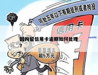 被拘留期间信用卡逾期：利息违约金如何消除？逾期后果如何处理？