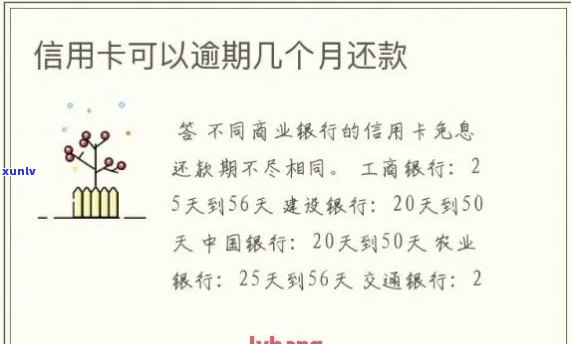 2019年信用卡逾期还款新规定：详细解读与操作指南