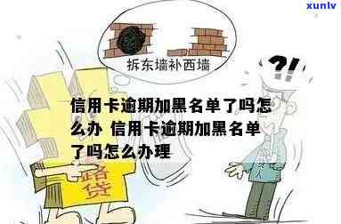 信用卡逾期又是网黑，如何处理？