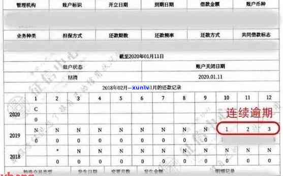 信用卡逾期查信征：如何查询、是否有用以及报告上记录