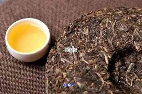 糯香普洱茶——熟茶还是生茶？