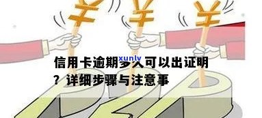 信用卡逾期证明书办理流程：详细步骤与注意事项