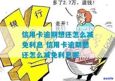 信用卡逾期还款策略：如何降低利率与利息负担