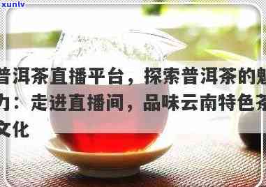 茶文化深度解析：普洱茶的魅力揭秘与品鉴直播