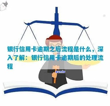 翡翠飘花的数量选择：多好还是少好？解析与建议