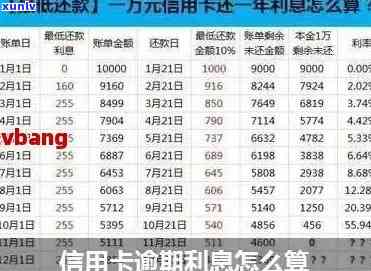 '信用卡1000逾期一年多钱，逾期利息计算与滞纳金解析'