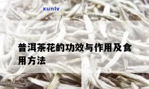 茶花在普洱茶 *** 中的应用及其独特功效解析