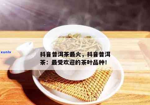 探索普洱茶在抖音小店的美食类别：一个全新的茶叶体验