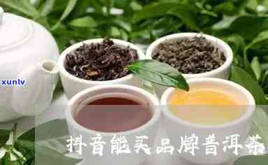 探索普洱茶在抖音小店的美食类别：一个全新的茶叶体验