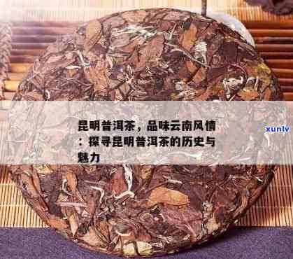 探索明园居特色普洱茶：独特风味与价值解析