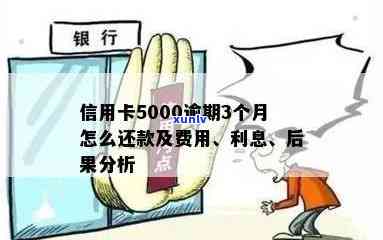 信用卡逾期8年未还款5000元：利息累计惊人，如何解决债务问题？