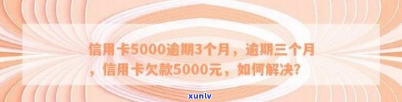 逾期未还款信用卡5000元，我该如何处理？全面指南解决逾期还款问题