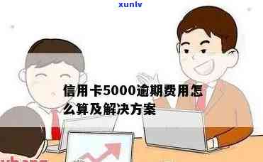 逾期未还款信用卡5000元，我该如何处理？全面指南解决逾期还款问题