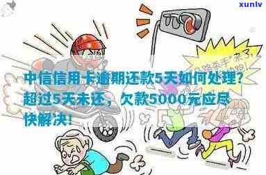 逾期未还款信用卡5000元，我该如何处理？全面指南解决逾期还款问题