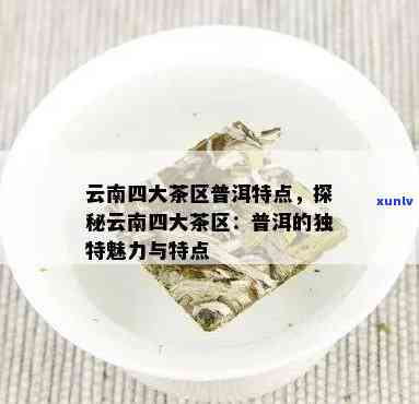 云南四大知名普洱茶厂盘点：品味云南大普茶的独特魅力