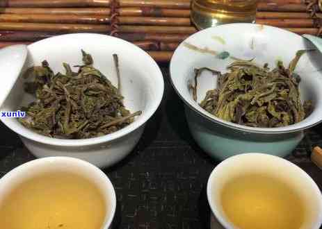 普洱茶分哪几种类型的茶